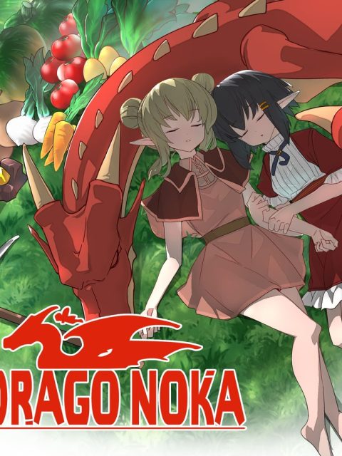 Drago Noka — Standard Edition — PlayStation 4, без активации (П2)