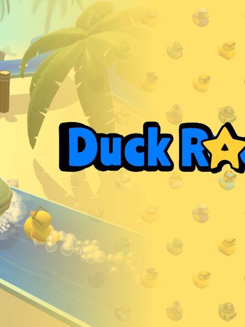 Duck Race — Standard Edition — PlayStation 4, без активации (П2)