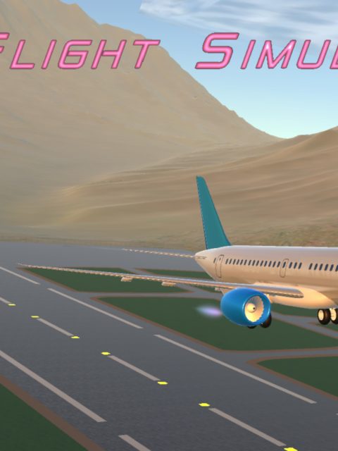 Easy Flight Simulator — Standard Edition — PlayStation 4, без активации (П2)
