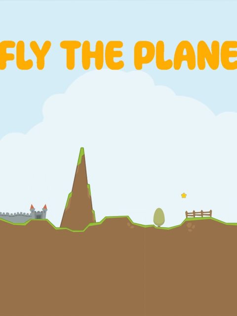 Fly the Plane — Standard Edition — PlayStation 4, без активации (П2)