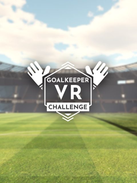 Goalkeeper VR Challenge — Standard Edition — PlayStation 4, без активации (П2)