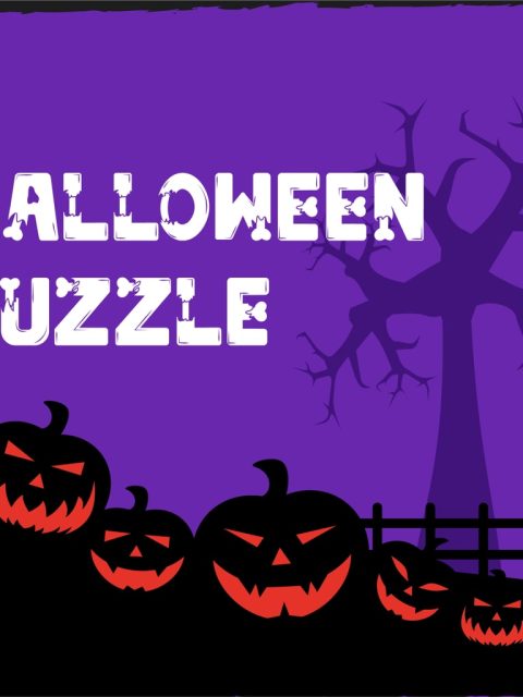 Halloween Puzzle — Standard Edition — PlayStation 4, без активации (П2)