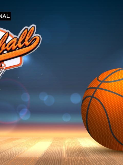 International Basketball — Standard Edition — PlayStation 4, без активации (П2)