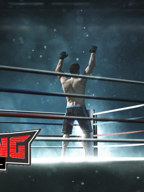 International Boxing — Standard Edition — PlayStation 4, без активации (П2)