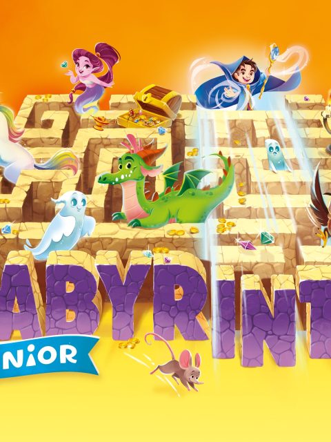 Junior Labyrinth — Standard Edition — PlayStation 4, с активацией (П3)