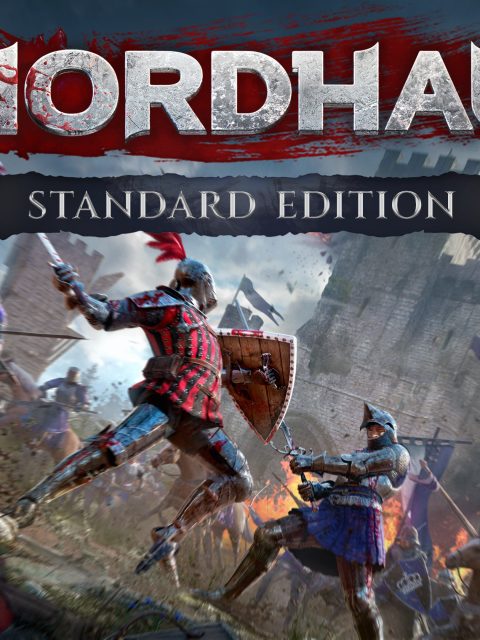 MORDHAU — Standard Edition — PlayStation 4, с активацией (П3)