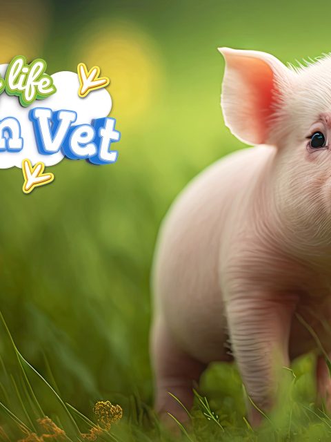 My Life: Farm Vet — Standard Edition — PlayStation 4, без активации (П2)