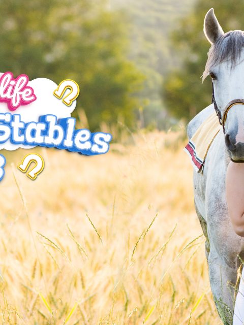 My Life: Riding Stables 3 — Standard Edition — PlayStation 4, без активации (П2)
