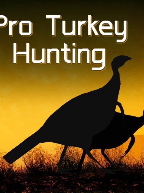 Pro Turkey Hunting — Standard Edition — PlayStation 4, без активации (П2)