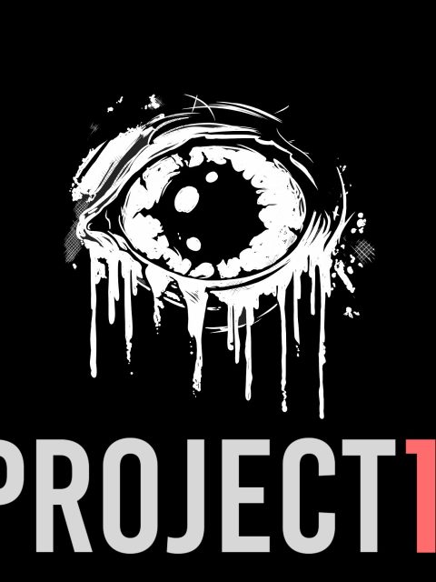 Project 13 — Standard Edition — PlayStation 4, без активации (П2)