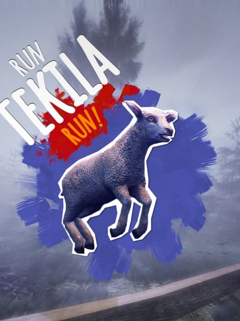 Run Tekila Run! — Standard Edition — PlayStation 5, с активацией (П3)