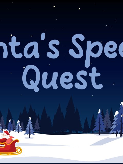 Santa's Speedy Quest — Standard Edition — PlayStation 4, без активации (П2)