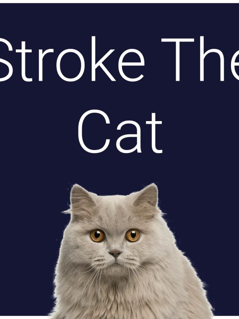 Stroke The Cat — Standard Edition — PlayStation 4, без активации (П2)