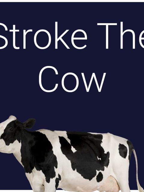 Stroke The Cow — Standard Edition — PlayStation 4, с активацией (П3)