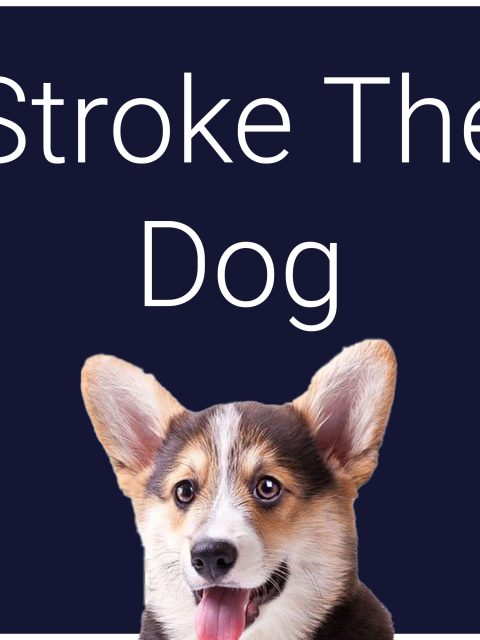 Stroke The Dog — Standard Edition — PlayStation 4, без активации (П2)