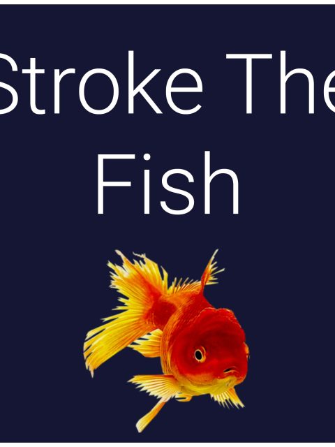 Stroke The Fish — Standard Edition — PlayStation 4, без активации (П2)