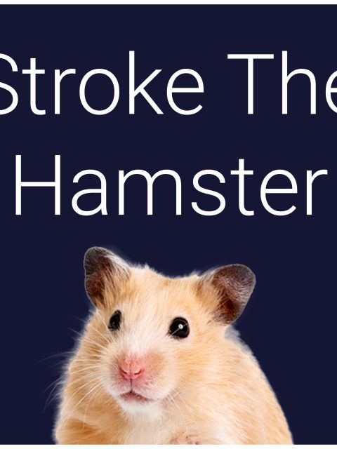 Stroke The Hamster — Standard Edition — PlayStation 4, без активации (П2)
