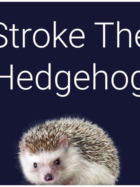 Stroke The Hedgehog — Standard Edition — PlayStation 4, без активации (П2)