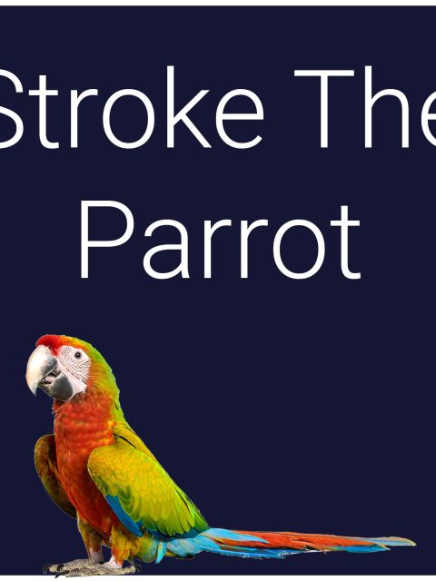 Stroke The Parrot — Standard Edition — PlayStation 5, с активацией (П3)