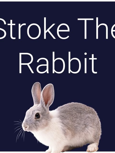 Stroke The Rabbit — Standard Edition — PlayStation 4, без активации (П2)