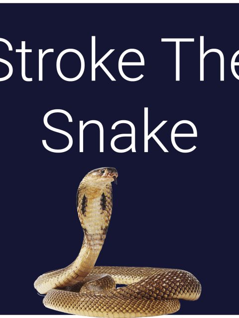 Stroke The Snake — Standard Edition — PlayStation 4, без активации (П2)