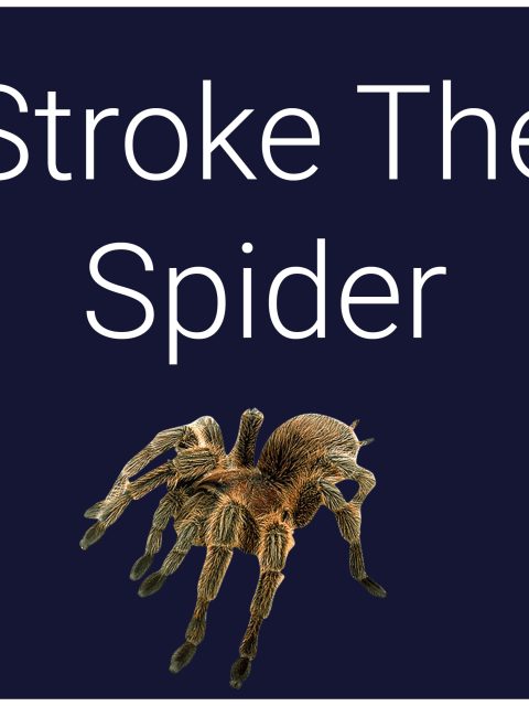 Stroke The Spider — Standard Edition — PlayStation 4, без активации (П2)