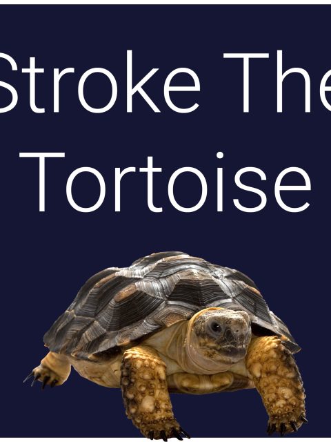 Stroke The Tortoise — Standard Edition — PlayStation 5, с активацией (П3)