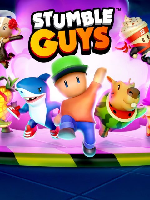 Stumble Guys — Standard Edition — PlayStation 4, с активацией (П3)