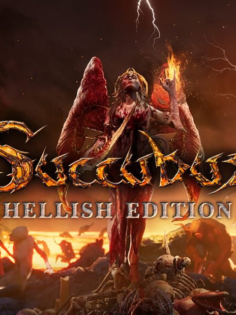 SUCCUBUS — Standard Edition — PlayStation 4, без активации (П2)