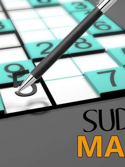Sudoku Master — Standard Edition — PlayStation 4, с активацией (П3)
