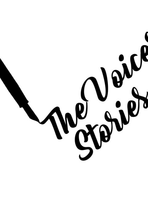 The Voices Stories — Standard Edition — PlayStation 4, без активации (П2)