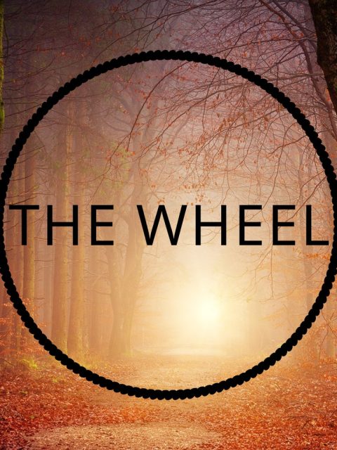 The Wheel — Standard Edition — PlayStation 4, без активации (П2)