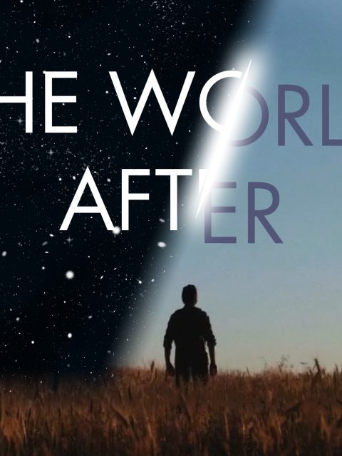 The World After — Standard Edition — PlayStation 4, без активации (П2)