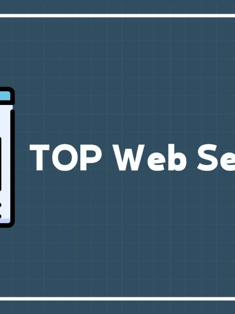 TOP Web Search 23 — Standard Edition — PlayStation 4, без активации (П2)