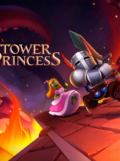 Tower Princess — Standard Edition — PlayStation 4, без активации (П2)
