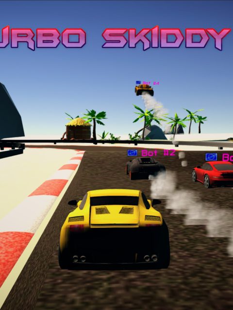 Turbo Skiddy Racing — Standard Edition — PlayStation 4, без активации (П2)