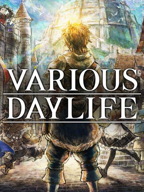 VARIOUS DAYLIFE — Standard Edition — PlayStation 4, без активации (П2)