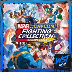 vs. Fighting Collection: Arcade • Ключ Steam (РФ, СНГ без Грузии | Автовыдача API)