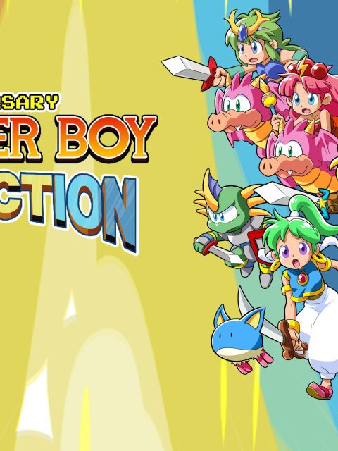 Wonder Boy Anniversary Collection — Standard Edition — PlayStation 4, без активации (П2)