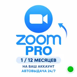 Zoom Workplace Pro — 1 / 12 месяцев | На ваш аккаунт | Автовыдача 24/7